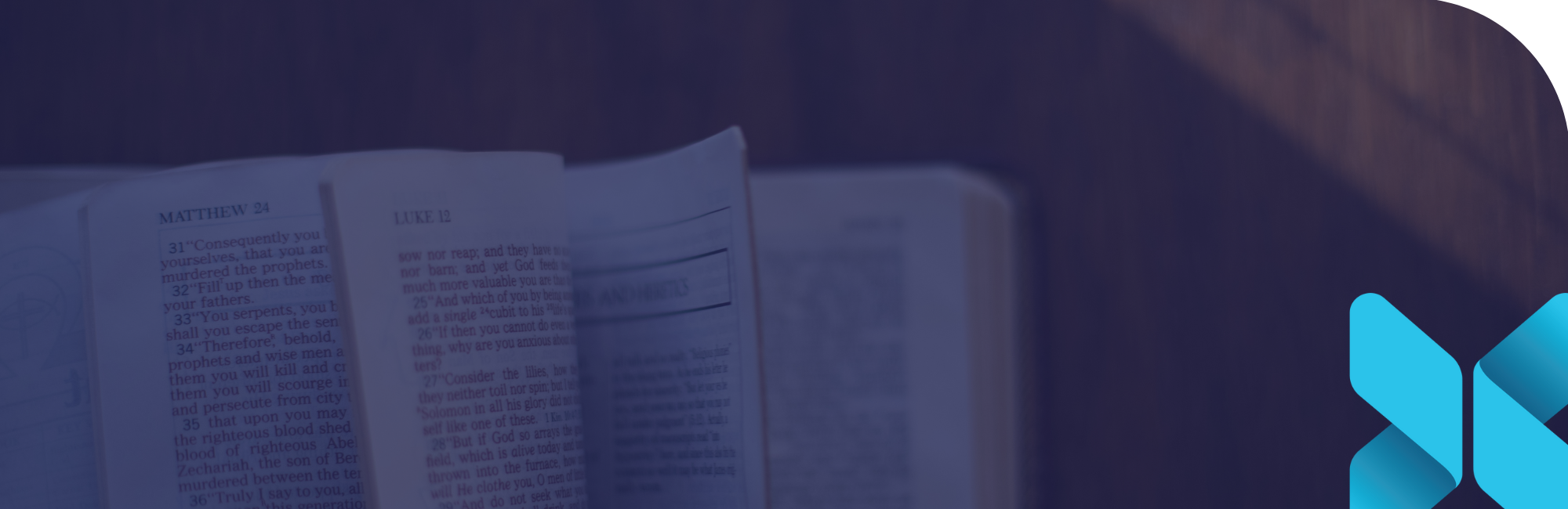 New Testament Survey